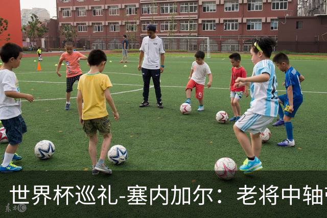 世界杯巡礼-塞内加尔：老将中轴带来安全感，非洲顶流前景可期！