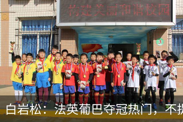 白岩松：法英葡巴夺冠热门，不提阿根廷因为是真喜欢我怕我像贝利